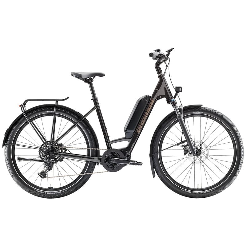 E-Bike Diamant Zing Trip Core (Lowstep)