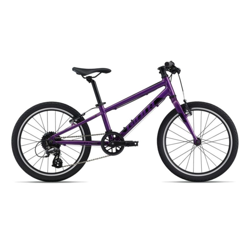 Giant ARX 20" Kinderfahrrad - purpur