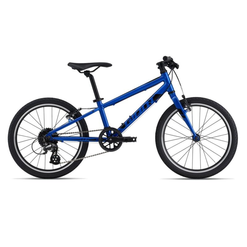 Kinderfahrrad Giant ARX 20"