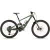 Carbon Mountainbike Specialized ENDURO