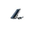 Kipper Tandem / Tridem ab 3m Variant 3517 MT